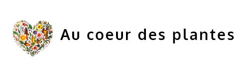 Au cœur des plantes